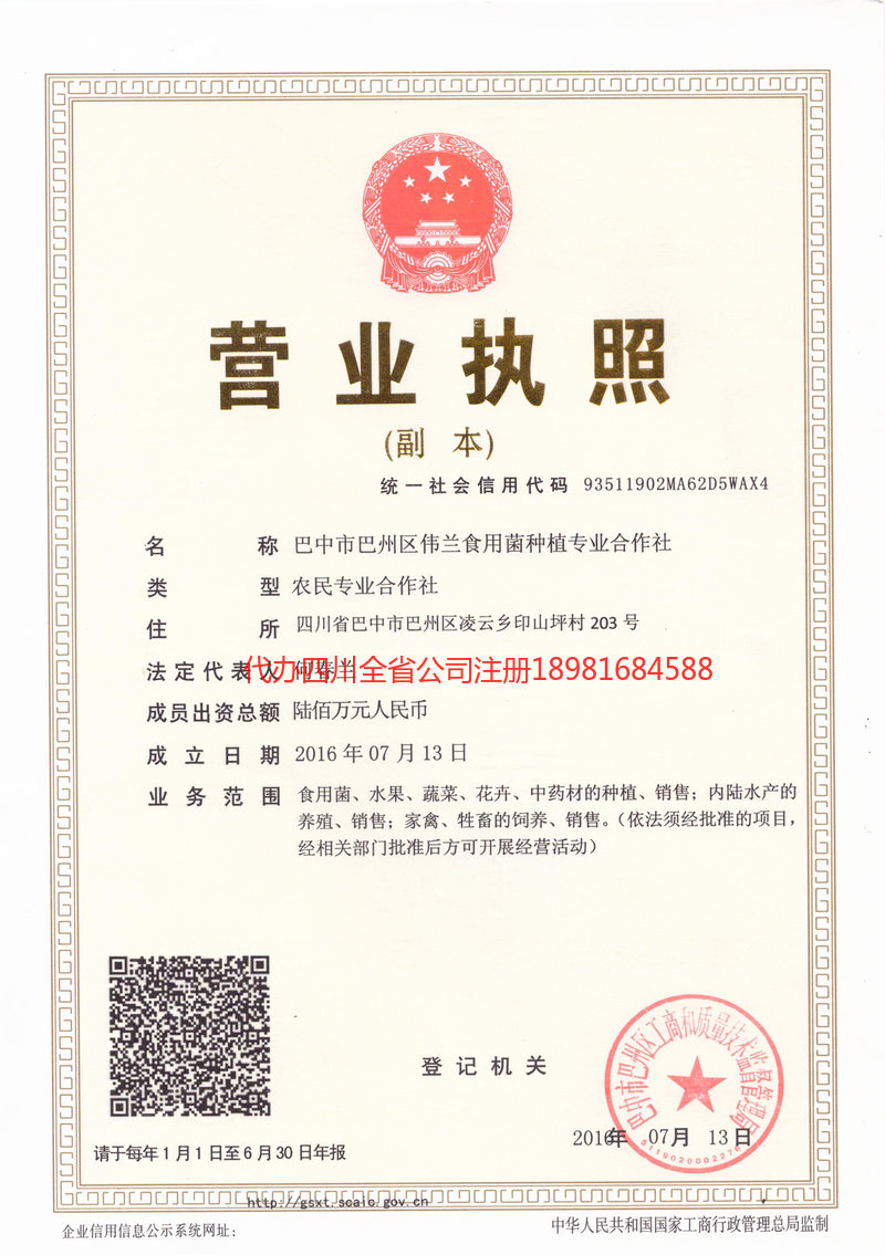 曲阜曲阜伟兰食用菌种植专业合作社